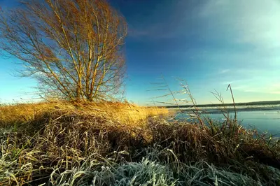 Naturlandschaft in der Nähe der Ferienwohnung