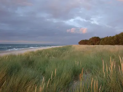 Naturlandschaft in der Nähe der Ferienwohnung