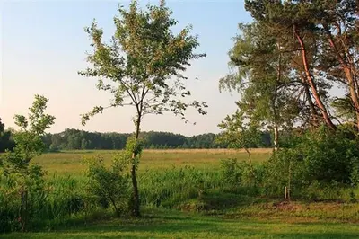 Naturlandschaft in der Nähe der Ferienwohnung