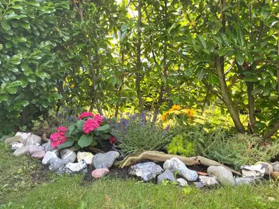 Ein Garten an der Unterkunft Villa Carpe Diem,Whg 1