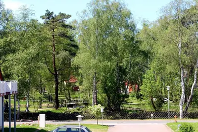 Ein Garten an der Unterkunft Lachmöwe App 35