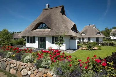 Ein Garten an der Unterkunft Ferienhaus Seeadler 34