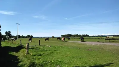 Tiere im Ferienhaus oder in der Nähe