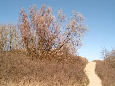 Naturlandschaft in der Nähe des Ferienhauses
