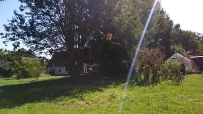 Ein Garten an der Unterkunft FeWo1