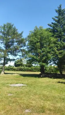 Ein Garten an der Unterkunft Urlaub bei Hauenstein