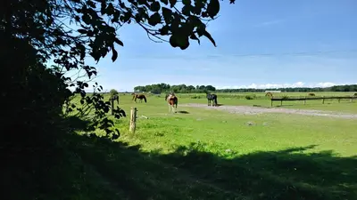 Gäste, die in der Unterkunft Urlaub bei Hauenstein übernachten