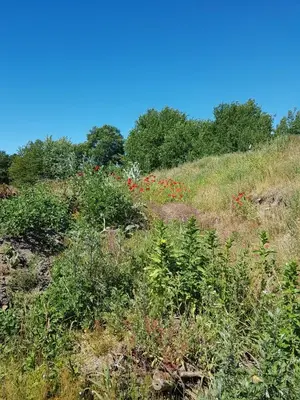 Naturlandschaft in der Nähe der Ferienwohnung