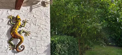 Ein Garten an der Unterkunft Fischlandhus