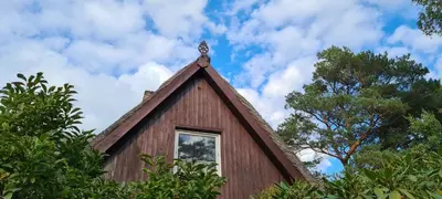 Ein Garten an der Unterkunft Fischlandhus