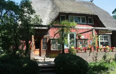 Ein Garten an der Unterkunft Ferienwohnung 
