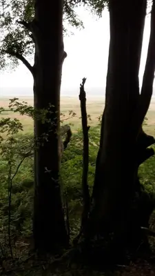 Naturlandschaft in der Nähe der Ferienwohnung