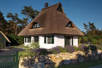 Ein Garten an der Unterkunft Ferienhaus Seeadler 11