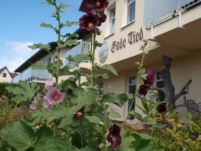 Ein Garten an der Unterkunft Hotel Gode Tied