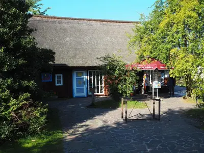 Grundriss der Unterkunft Pirol FW 8, PP von Klosterstr