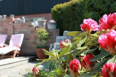 Ein Garten an der Unterkunft Alte Scheune