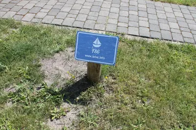 Ein Garten an der Unterkunft Ferienwohnung F 86 in Born