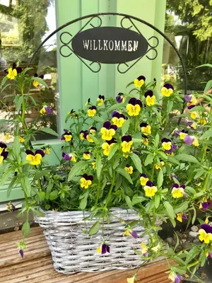 Ein Garten an der Unterkunft 