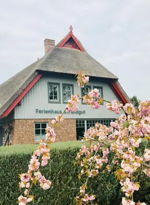 Ein Garten an der Unterkunft 