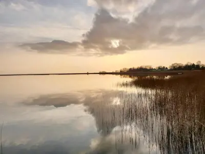 Naturlandschaft in der Nähe des Ferienhauses