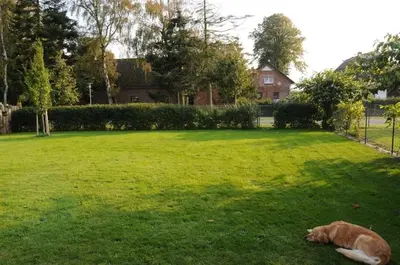 Ein Garten an der Unterkunft 
