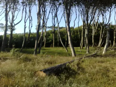 Naturlandschaft in der Nähe des Ferienhauses