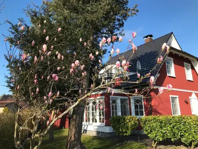Ein Garten an der Unterkunft Dat Ferienhus Sophia