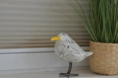 Tiere in der Ferienwohnung oder in der Nähe