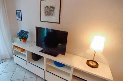 TV/Unterhaltungsangebot in der Unterkunft Strandbiene