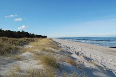 Naturlandschaft in der Nähe des Ferienhauses