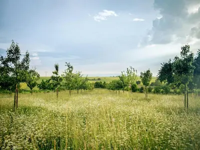 Naturlandschaft in der Nähe des Ferienhauses