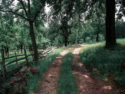 Ein Garten an der Unterkunft Doppelhaushälfte, Zingst
