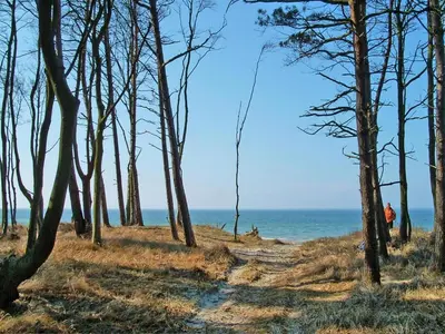 Naturlandschaft in der Nähe der Ferienwohnung