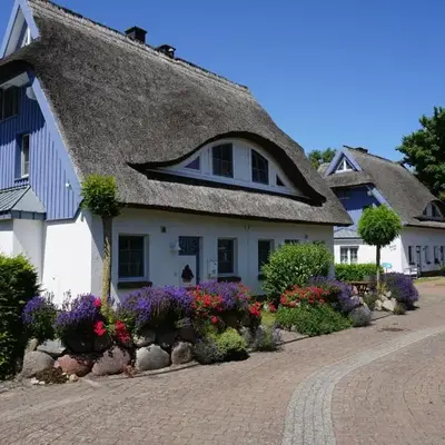 Kranich