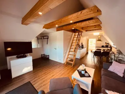 TV/Unterhaltungsangebot in der Unterkunft Ferienwohnung de olle Leive in Born