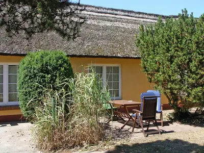 Ein Garten an der Unterkunft Appartementhaus Kathrin, Wieck am Darß