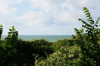 Naturlandschaft in der Nähe der Pension
