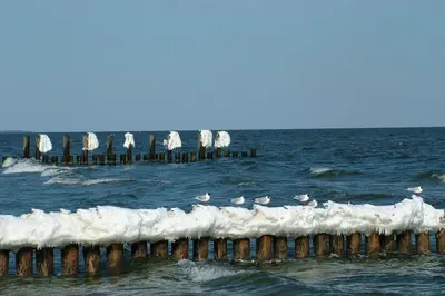 Naturlandschaft in der Nähe des Ferienhauses