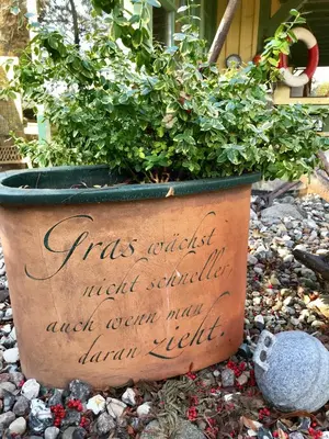 Ein Garten an der Unterkunft 