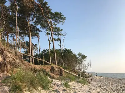 Naturlandschaft in der Nähe des Ferienhauses