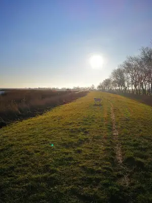 Naturlandschaft in der Nähe der Ferienwohnung