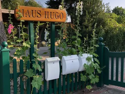 Ein Garten an der Unterkunft Zingst Haus Hugo