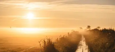 Blick auf den Sonnenuntergang/Sonnenaufgang von der Ferienwohnung aus oder aus der Nähe
