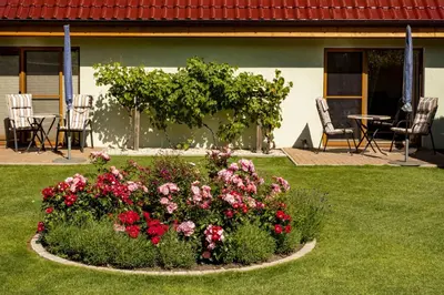 Ein Garten an der Unterkunft Meereslust EG 1R