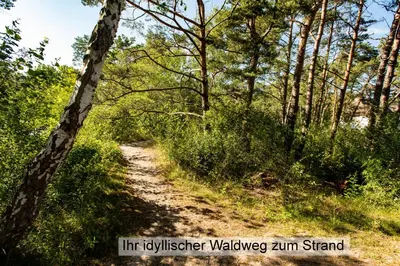 Naturlandschaft in der Nähe der Ferienwohnung
