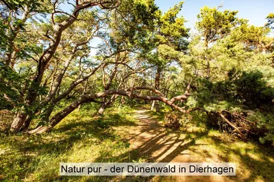Naturlandschaft in der Nähe der Ferienwohnung