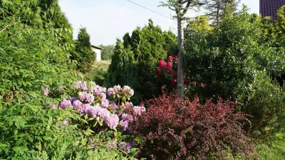Ein Garten an der Unterkunft Ferienwohnung Zaepernick Erdgeschoss