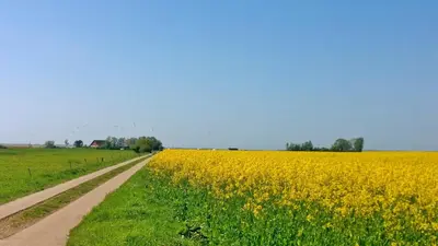 Naturlandschaft in der Nähe der Ferienwohnung