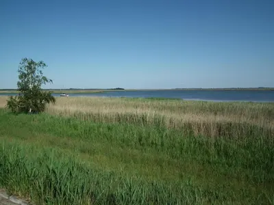 Naturlandschaft in der Nähe des Ferienhauses