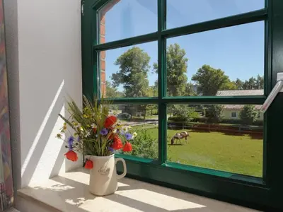 Ein Garten an der Unterkunft Hof Thomsen